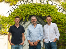 Weingut Zehnthof Luckert