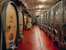 Weingut Emil Hammel & Cie.