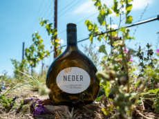 Weingut Neder