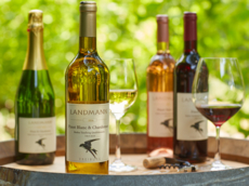 Weingut Landmann