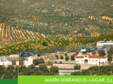 MARÍN SERRANO EL LAGAR, S.L. - OLEOSUBBÉTICA (DOP PRIEGO DE CÓRDOBA)