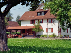 Gasthof zum Hirsch