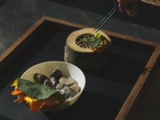 Wachter Foodbar