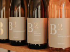 Weingut Bollig²