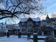 Der Froschkönig - Das Café