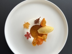 Wachter Foodbar