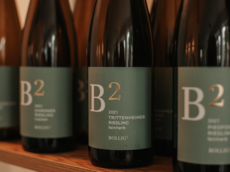 Weingut Bollig²