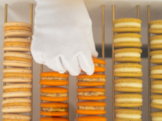 LOTI PANTÓN Macarons