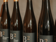 Weingut Bollig²