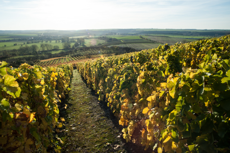 Weingut Klaus Böhme