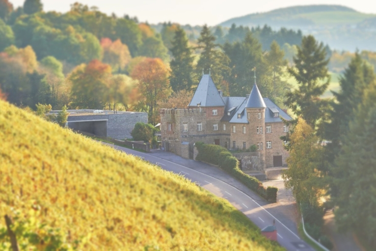 Weingut Reichsgraf von Kesselstatt