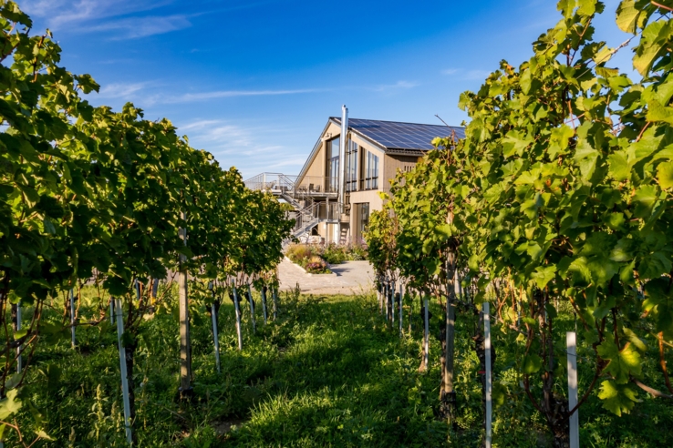 Rösterei & Weingut Burkhart