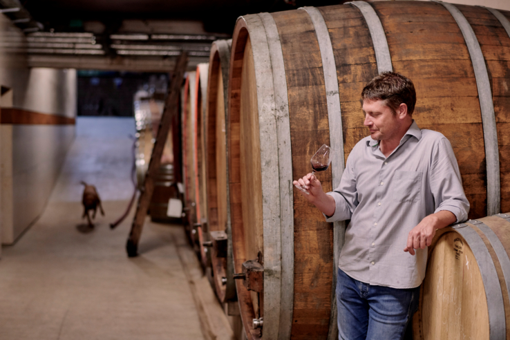 SANDER ökologische Weine