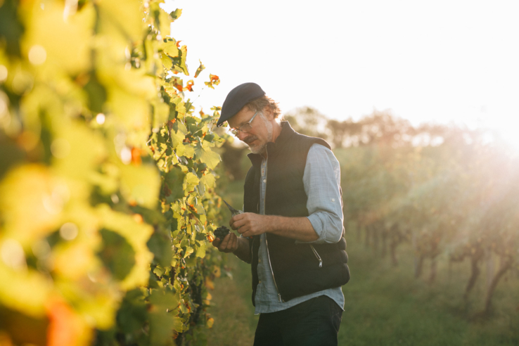 Weingut Thomas Harteneck